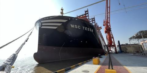 MSC是哪个船公司的缩写 msc船公司网站